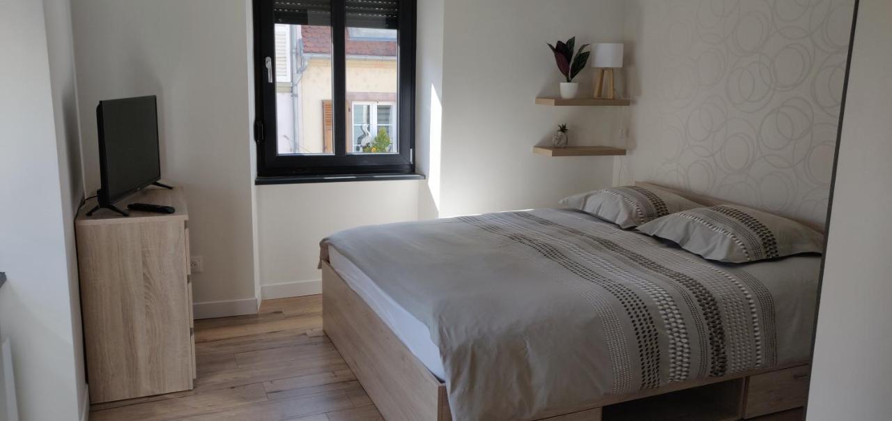 Le Cygne, Appartement De Standing En Hyper-Centre Sarreguemines Exterior foto