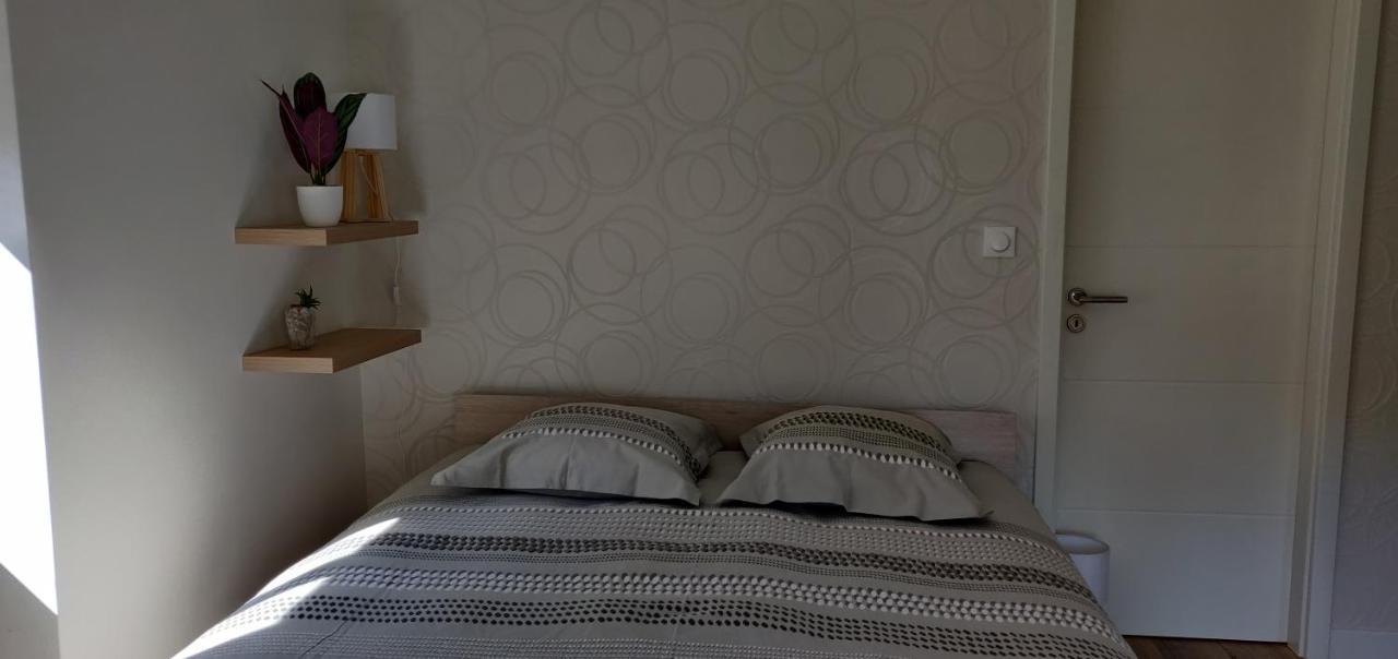 Le Cygne, Appartement De Standing En Hyper-Centre Sarreguemines Exterior foto